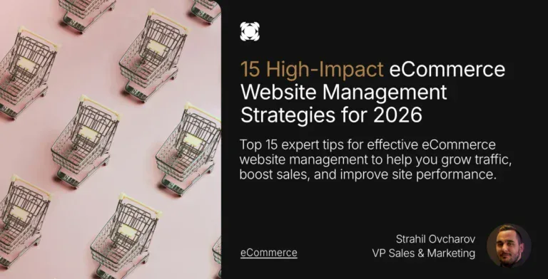 Ecommerce website management banner