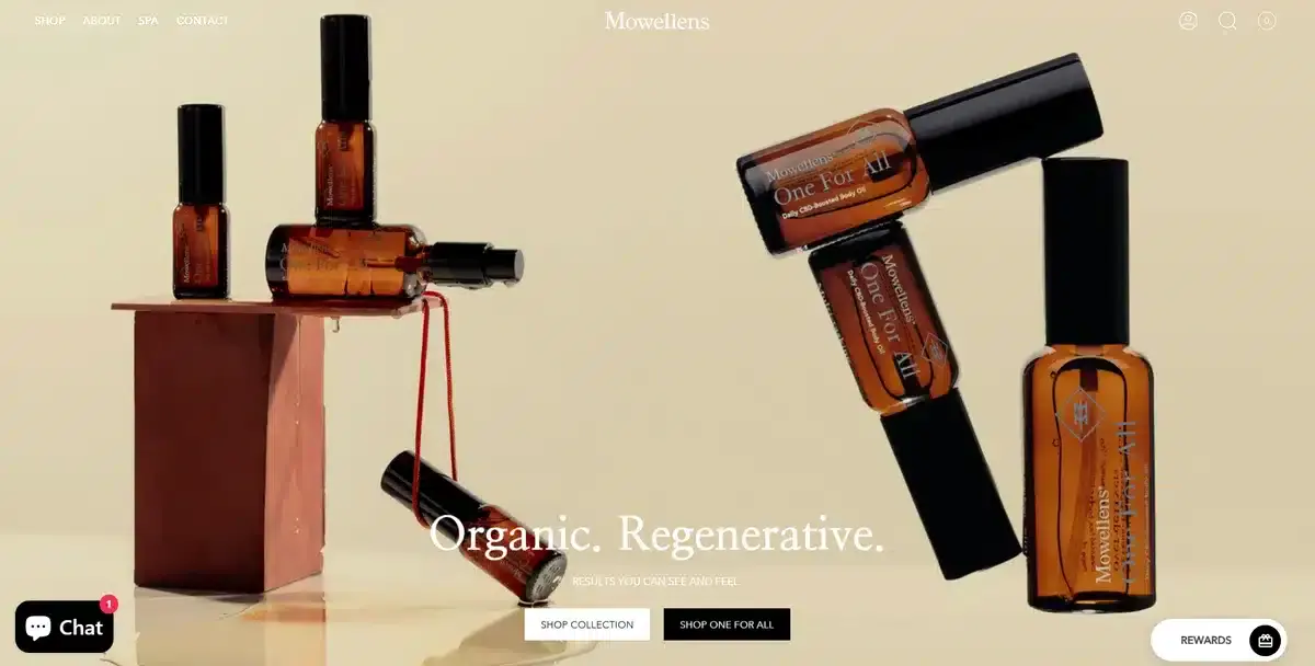 Mowellen's business website showing their latest product