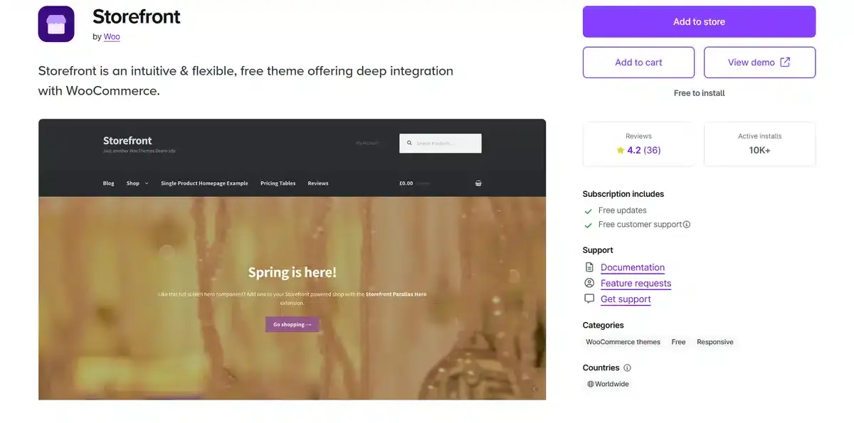 Storefront business website explaining how this WordPress can help your business