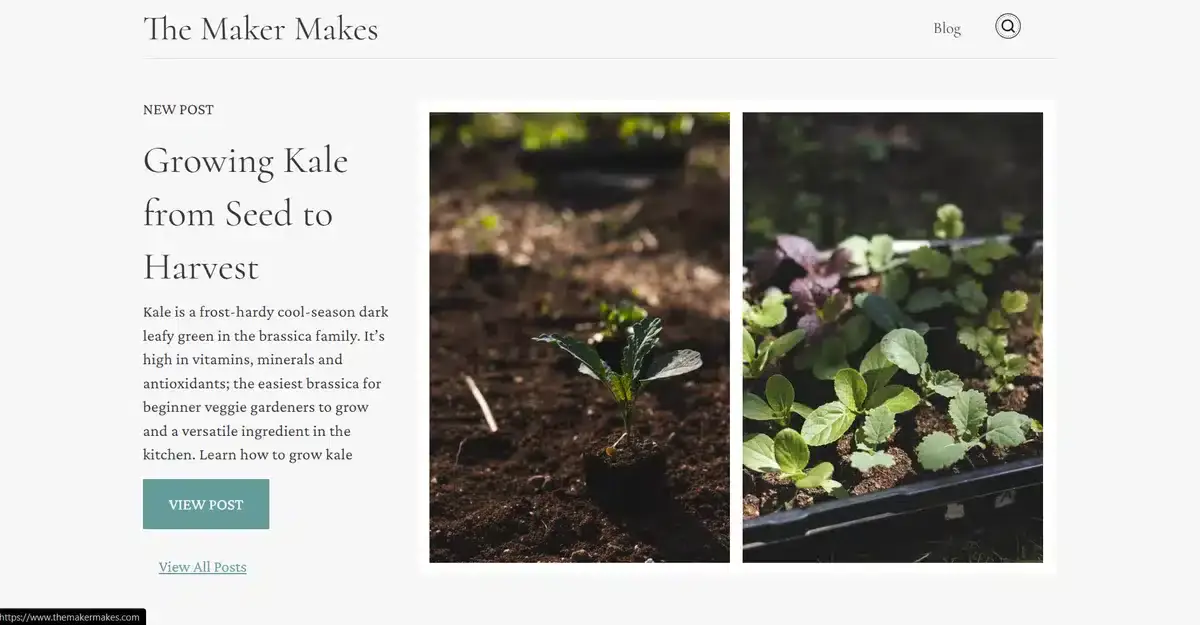 The Maker Makes' business website showing their latest blog post