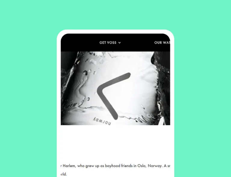 Voss water website text heavy section without internal linking