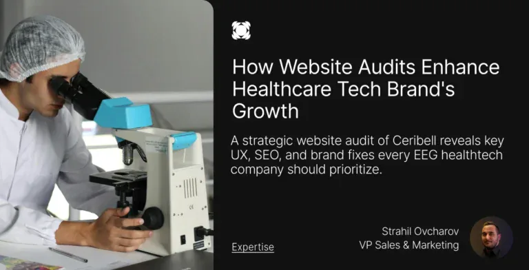 website audit