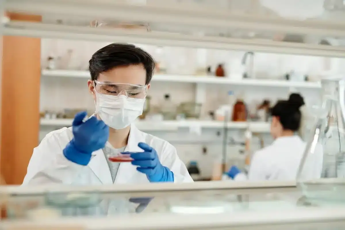 doctor doing blood tests on a test plate