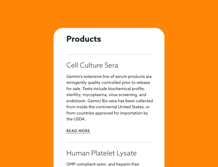 gemini bio brand messaging