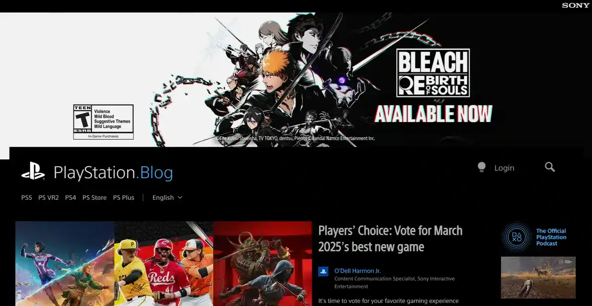 playstation business blog using wordpress
