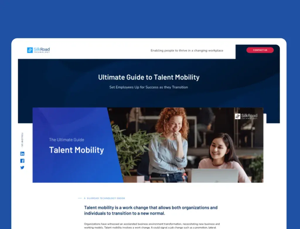 silkroad case study image 4