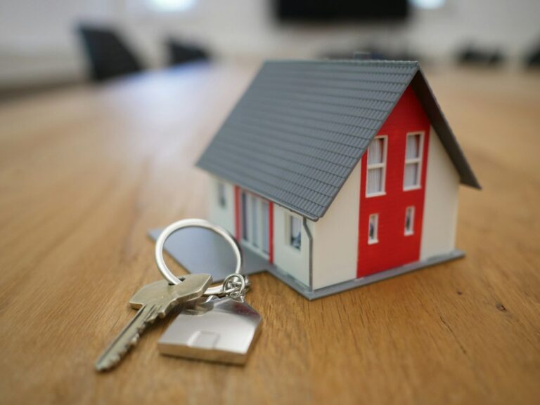 insurance provider