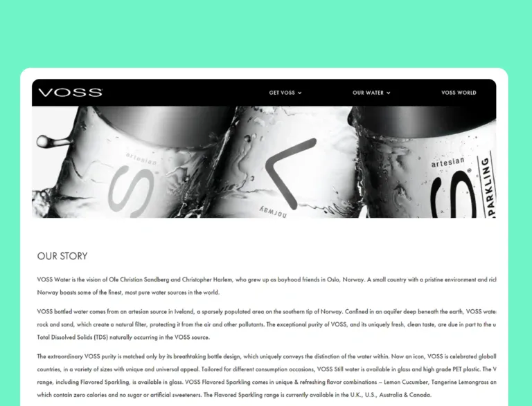 Voss water old website text-heavy section