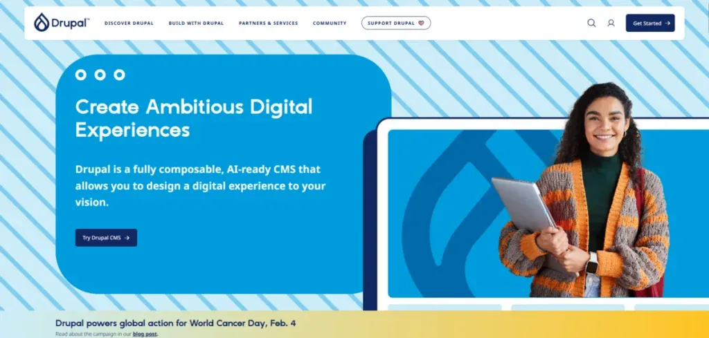 Drupal Business Website explaining what their CMS is